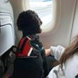 Schnoodle puppy in airplane in California Schnoodle Puppies