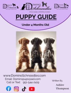 Exclusive Puppy Guide Exclusive Puppy Guide